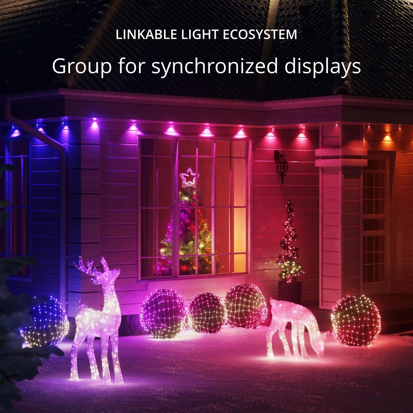 Amazon limited deals! Twinkly Strings 250 LED RGB, Including White, LED Light String for in-and Outdoor, Christmas Lights, Smart LED Lights, Mappable LEDs, Compatible with Alexa, Google Home, IP44, Green Wire, 65ft